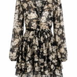 Floral Sheer Dress