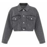 Cropped Crystal Denim Jacket