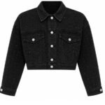 Cropped Crystal Denim Jacket (Copy)