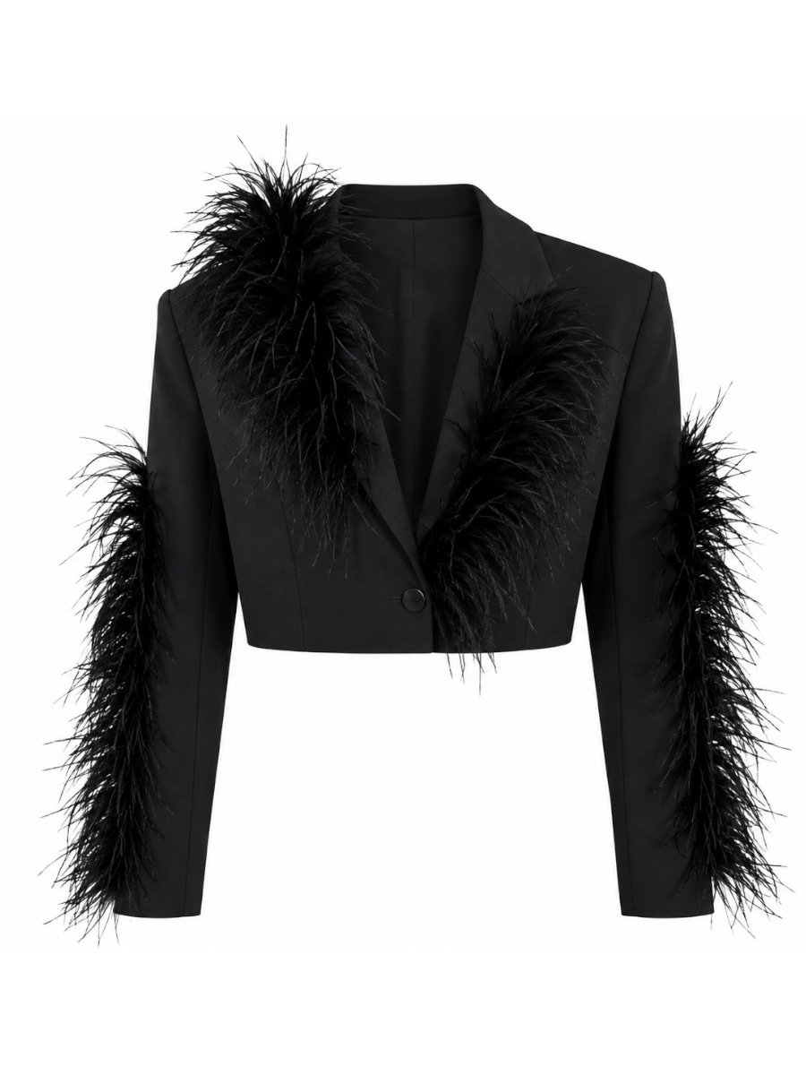 Photoroom_20260507_164845 Feather Glam Cropped Blazer - Image 1